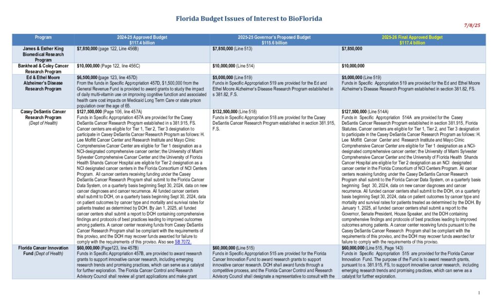thumbnail of 2025 Budget Tracker
